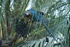 Thumbnail of named item displayed